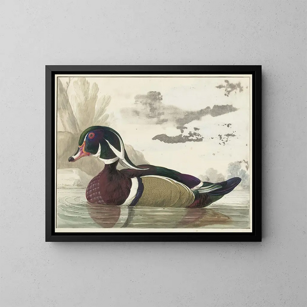 Ente von Caroline - Gerrit van den Heuvel — gerahmtes Bild an der Wand