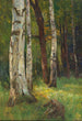 Eine Birkenwald - Gertrud Staats — Ansicht des Kunstwerks