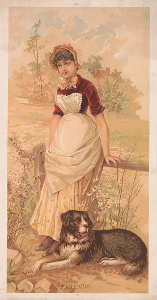 Gies Co - Friends.webp