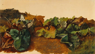 GillesFranoisJoseph Closson - Large Butterburr Leaves and Grass.webp