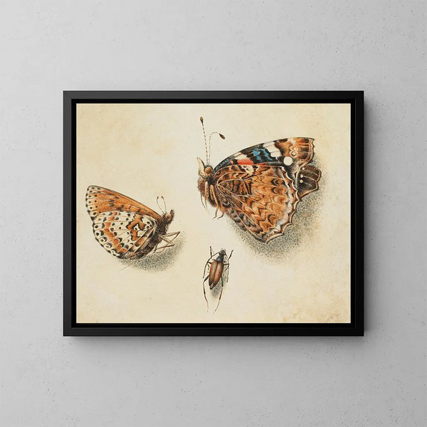 Zwei Schmetterlinge und ein anderes Insekt - Giovanna Garzoni — gerahmtes Bild an der Wand