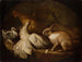 Eine Henne, eine Taube und ein Kaninchen - Giovanni Agostino Cassana — Ansicht des Kunstwerks