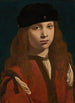 Portrait eines jungen Mannes - Giovanni Antonio Boltraffio — gerahmtes Bild an der Wand