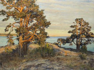 Küstenlandschaft bei Sonnenuntergang - Gottfrid Kallstenius — Ansicht des Kunstwerks