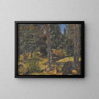 Ein Sitzbank aus Fichten - Gottfrid Samuel Nickolaus Kallstenius — gerahmtes Bild an der Wand