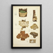 Histoire naturelle des champignons Pl60 - Guillaume Sicard — gerahmtes Bild an der Wand
