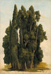 Studie eines Zypressenbaums - Gustaf Wilhelm Palm — Ansicht des Kunstwerks