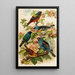 Le monde des oiseaux nord-américains pl28 - Gustav Mützel — gerahmtes Bild an der Wand