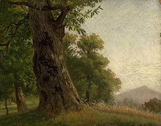 Gustav Osterroht - Baumstudie.webp
