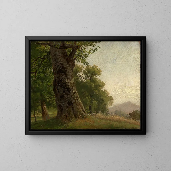 Baumstudie - Gustav Osterroht — gerahmtes Bild an der Wand