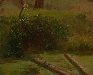 Ciguë de Blhender - Gustav Osterroht — Ansicht des Kunstwerks