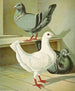 C. brevicauda - Gustav Prütz — Ansicht des Kunstwerks