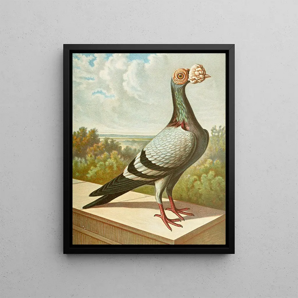 Gustav Prtz - C tabellarica persica.webp