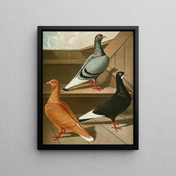 Gustav Prtz - Glattfssige Flachstirnige LangschnabelTmmler II.webp