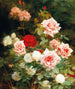 Eine Rosengarten - Gustave Bienvenu — Ansicht des Kunstwerks