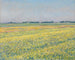Das Plateau von Gennevilliers mit gelben Feldern - Gustave Caillebotte — Ansicht des Kunstwerks