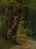 Hirsch im Wald - Gustave Courbet — Ansicht des Kunstwerks