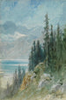 Ansicht des Genfersees bei Montreux - Gustave Doré — Ansicht des Kunstwerks