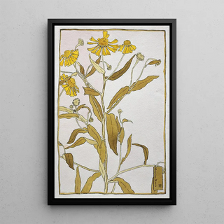 Hannah Borger Overbeck - Sneeze Weed.webp