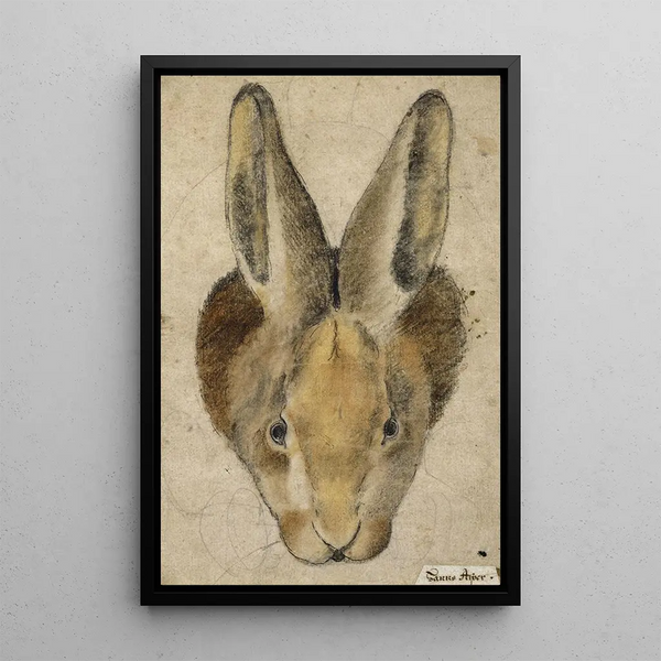Hase von vorne - Hans Asper — gerahmtes Bild an der Wand