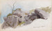 Felsen in der Hanglage Raumnzach - Hans Gude — Ansicht des Kunstwerks