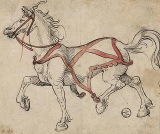 Zugpferd - Hans Holbein der Jüngere — Ansicht des Kunstwerks
