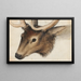 Tête de cerf - Hans Hug Kluber — gerahmtes Bild an der Wand