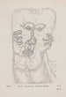 Apparition aérienne Hallucination Crayon - Hans Prinzhorn — Ansicht des Kunstwerks