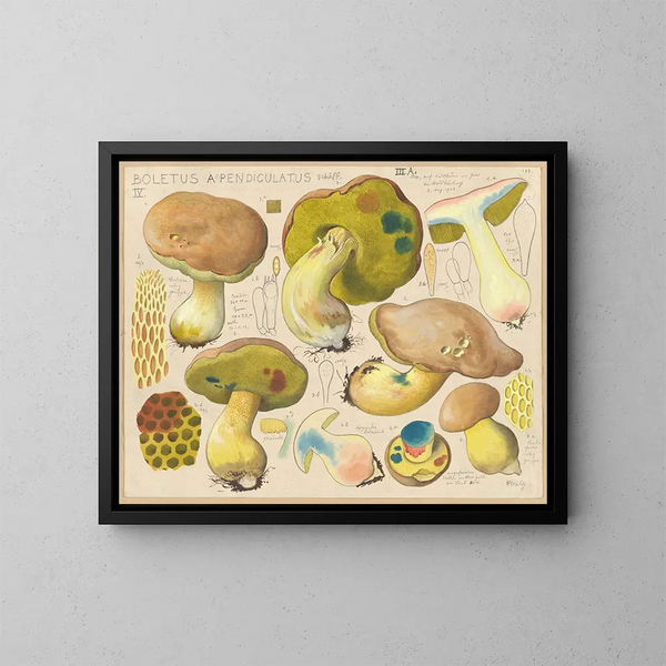 Boletus appendiculatus - Hans Baldung — gerahmtes Bild an der Wand