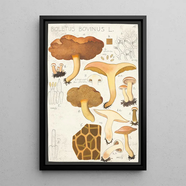 Boletus bovinus L - Hans Baldung — gerahmtes Bild an der Wand