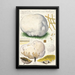 Calvatia maxima Schff Morgan Globaria bovista L - Hans Baldung — gerahmtes Bild an der Wand