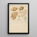 Choiromyces meandriformis - Hans Baldung — gerahmtes Bild an der Wand