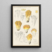 Clavaria aurea Schff - Hans Baldung — gerahmtes Bild an der Wand