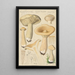 Clitocybe geotropa Bulliard - Hans Baldung — gerahmtes Bild an der Wand
