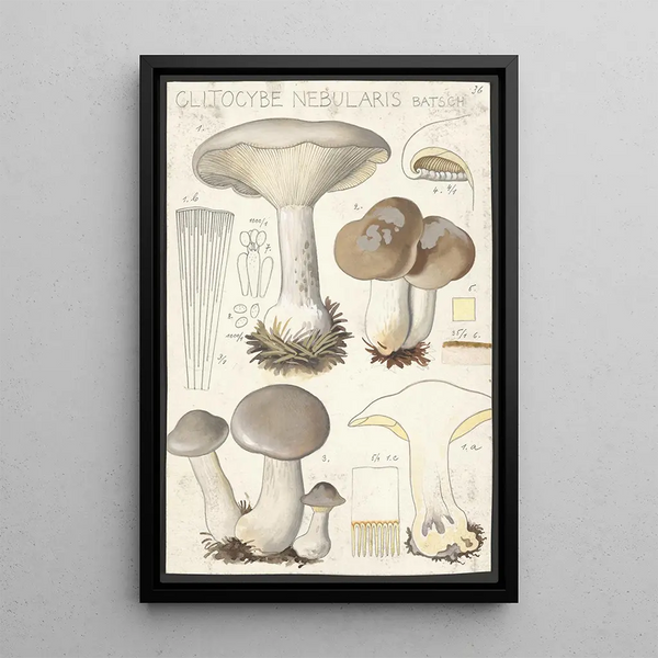 Clitocybe nébuleux Batsch 2 - Hans Baldung — gerahmtes Bild an der Wand