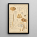 Collybie radicante - Hans Baldung — gerahmtes Bild an der Wand