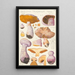 Inoloma traganum Fries - Hans Baldung — gerahmtes Bild an der Wand