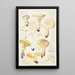 Lentinus lépide Fr Lentinus squamosus Schff lépide - Hans Baldung — gerahmtes Bild an der Wand