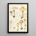 Lepiota guttata pers - Hans Baldung — gerahmtes Bild an der Wand