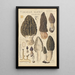 Morchella elata - Hans Baldung — gerahmtes Bild an der Wand