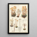 Mycena prolifera - Hans Baldung — gerahmtes Bild an der Wand