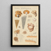 Panus stipticus - Hans Baldung — gerahmtes Bild an der Wand