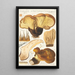 Paxillus atrotomentosus Batsch 2 - Hans Baldung — gerahmtes Bild an der Wand