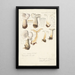 Psathyrella gracilis Clitocybe clavipes - Hans Baldung — gerahmtes Bild an der Wand