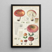 Russula seperina - Hans Baldung — gerahmtes Bild an der Wand