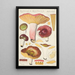 Russula alutacea Persoon - Hans Baldung — gerahmtes Bild an der Wand