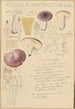 Russula amethystina - Hans Baldung — Ansicht des Kunstwerks