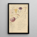 Russula amethystina - Hans Baldung — gerahmtes Bild an der Wand