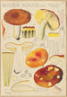 Russula aurata - Hans Baldung — Ansicht des Kunstwerks