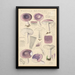 Russula azurea - Hans Baldung — gerahmtes Bild an der Wand